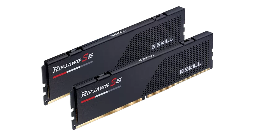 G.SKILL 32GB (2x16GB) DDR5-5600 Ripjaws S