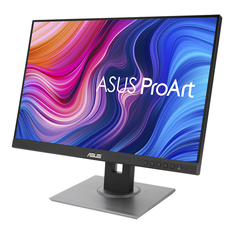 ASUS ProArt Display PA248QV Professional Monitor